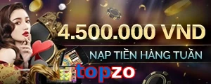 topzo